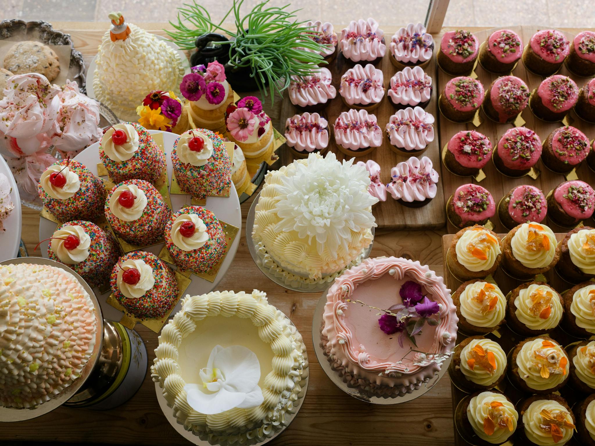 Window full of Cakes