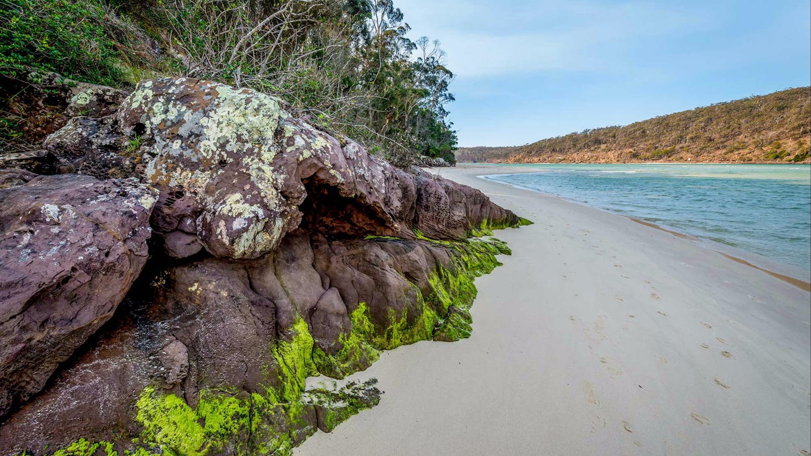 Pambula River Walking Track