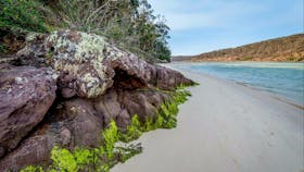 Pambula River Walking Track