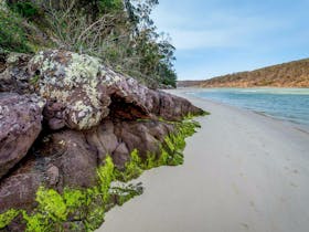 Pambula River Walking Track