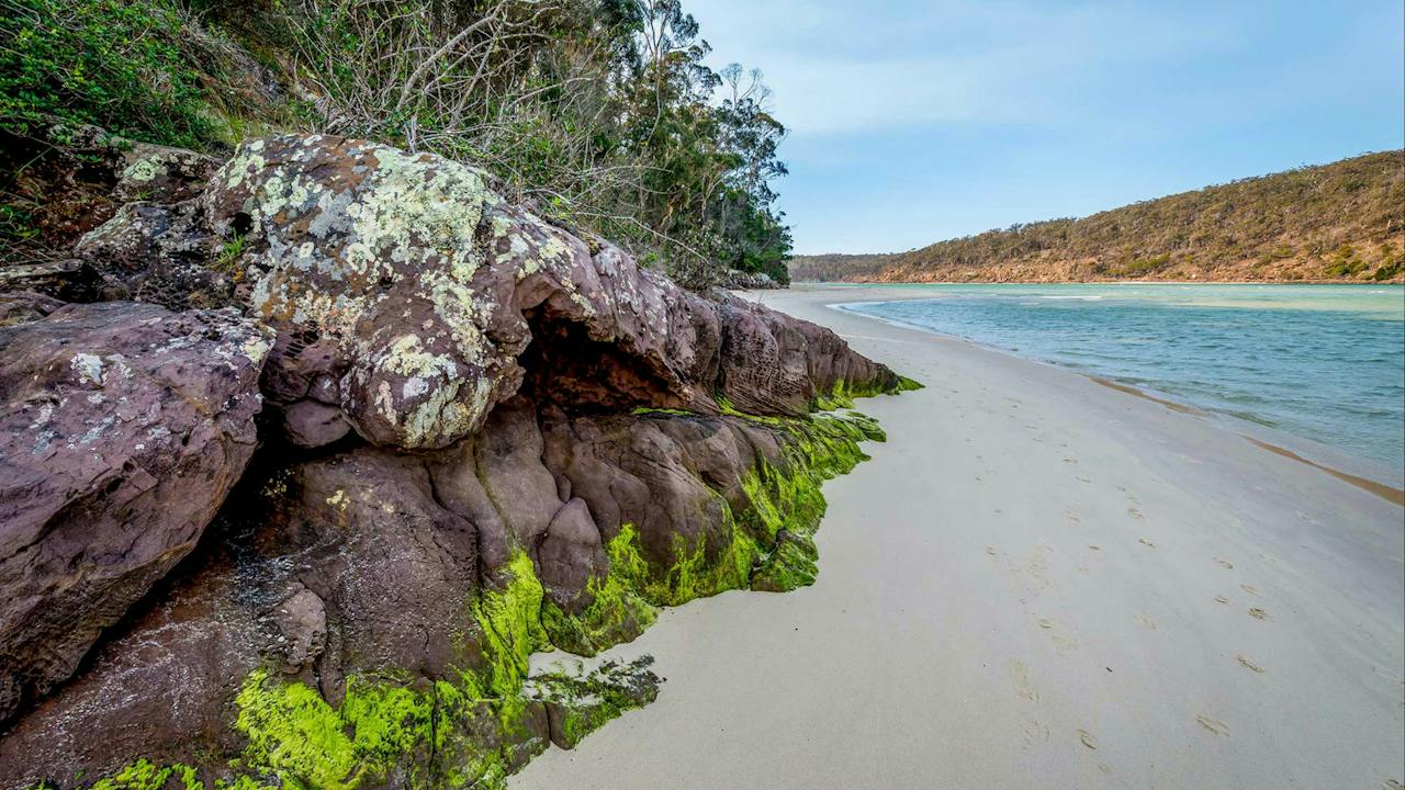 Pambula River Walking Track