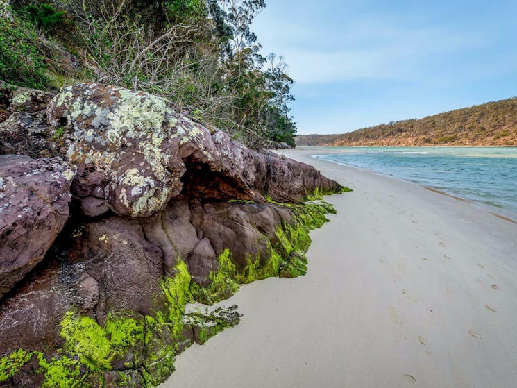 Pambula River walking track, Ben Boyd National Park. Photo: John Spencer