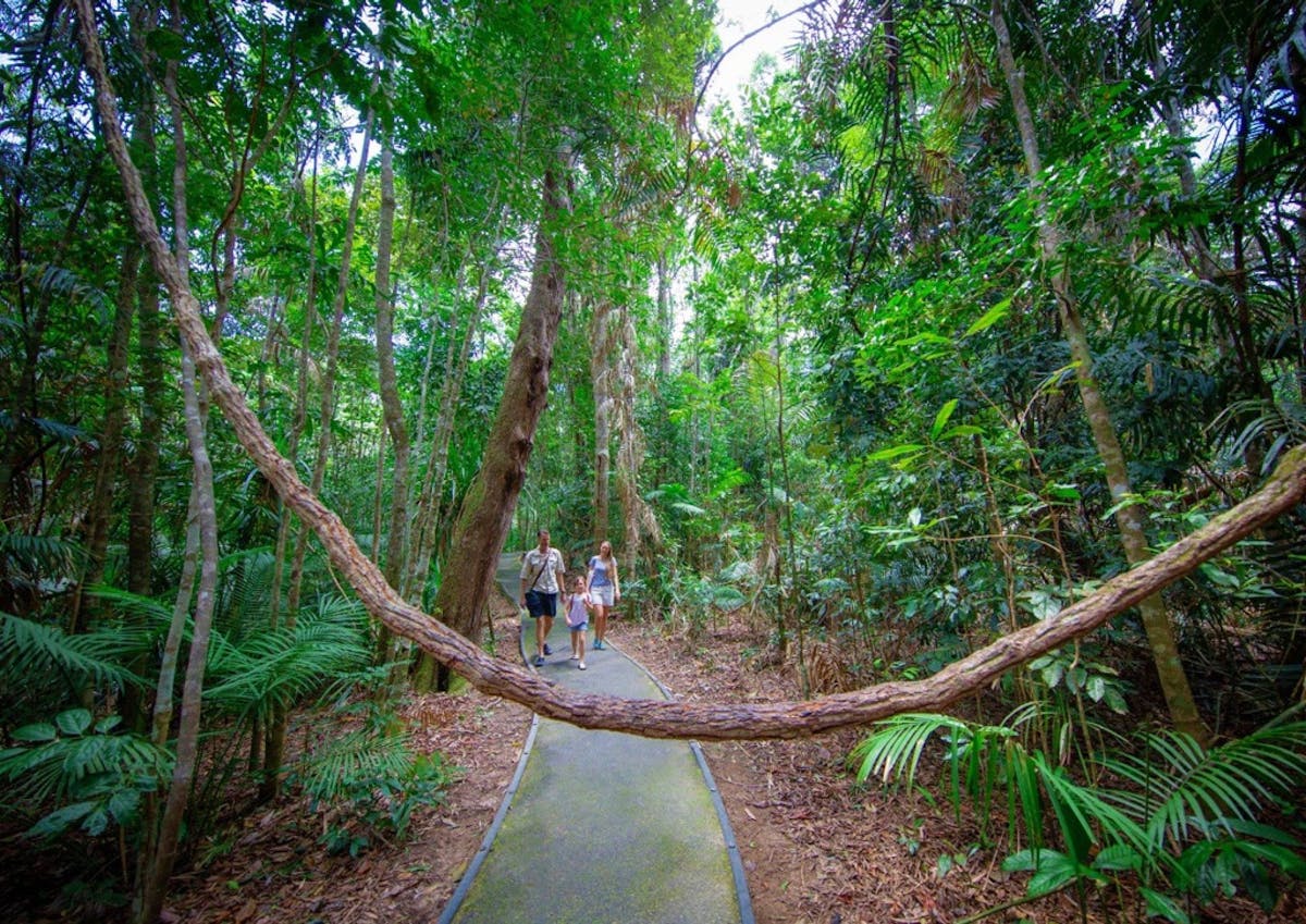 Kuranda Village In The Rainforest Cairns And Great Barrier Reef