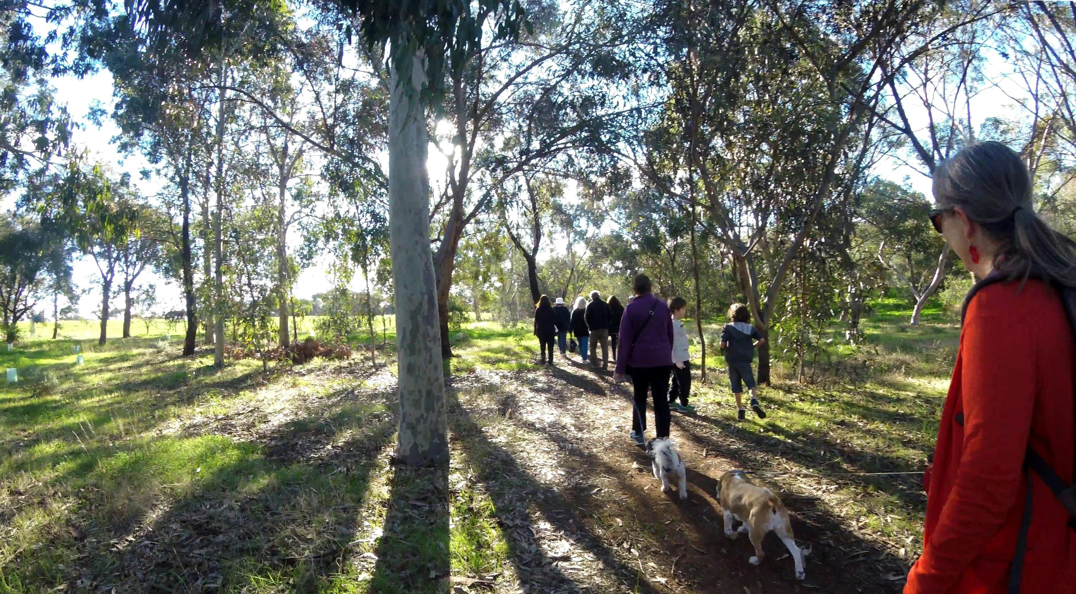 Lefevre Park / Nantu Wama (Park 6)