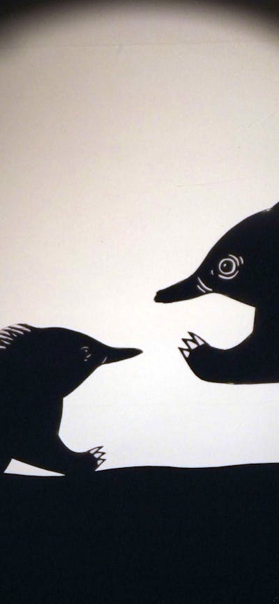 Two shadow puppet echidnas