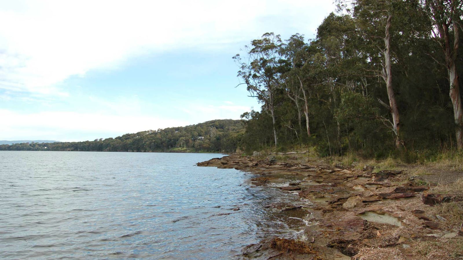 Wangi Circuit Walking Track