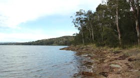 Wangi circuit walking track, Lake Macquarie State Conservation Area. Photo: Susan Davis.