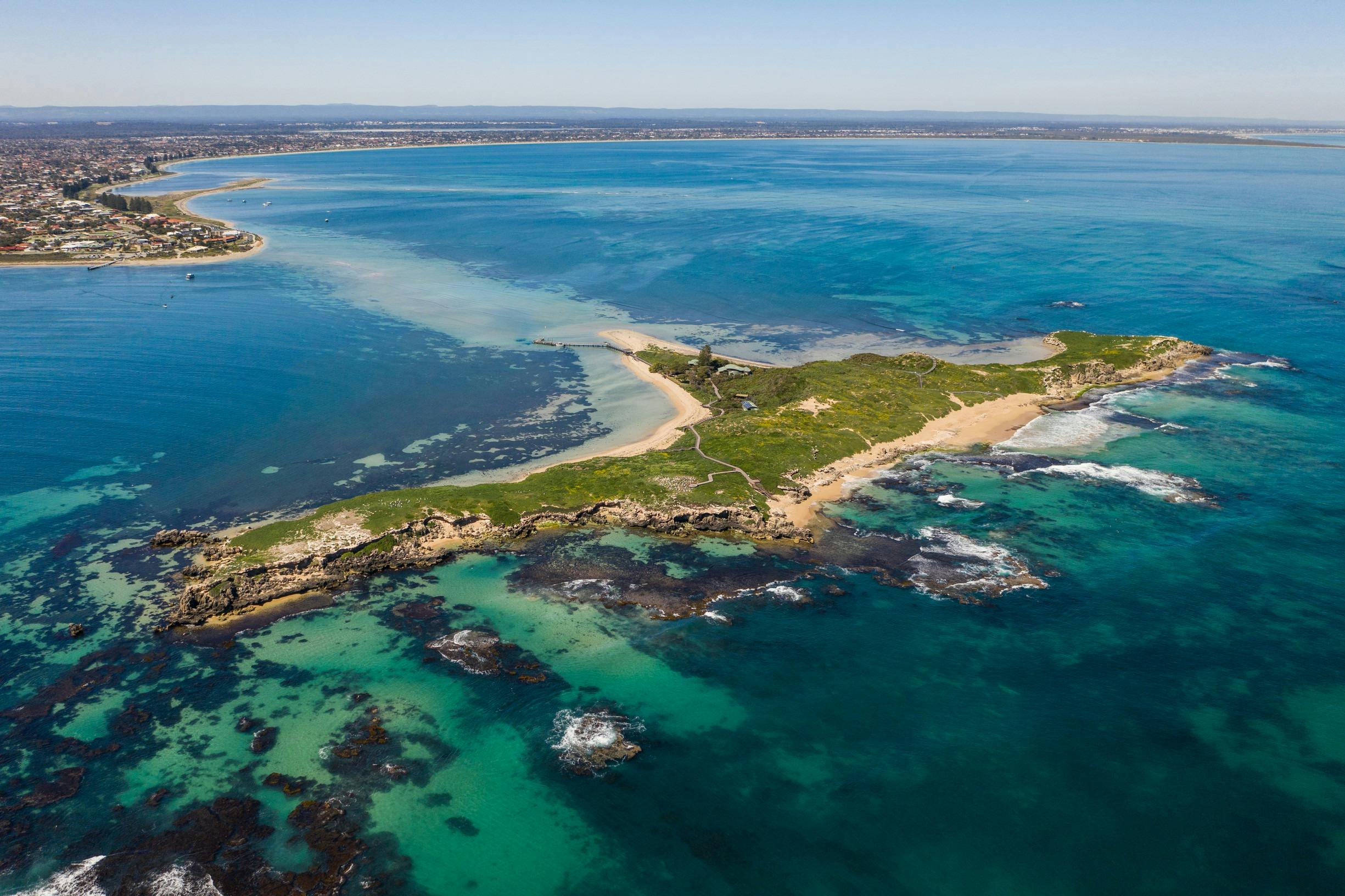 Aerial view of Penguin Island