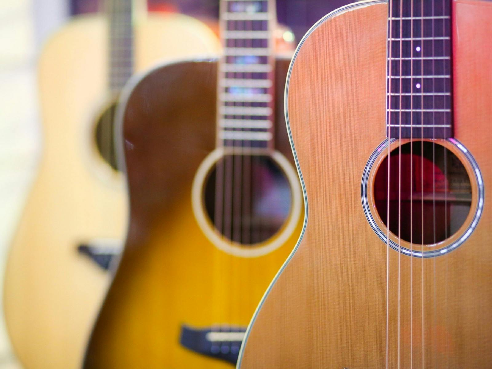 Beautiful guitars stocked in the shop