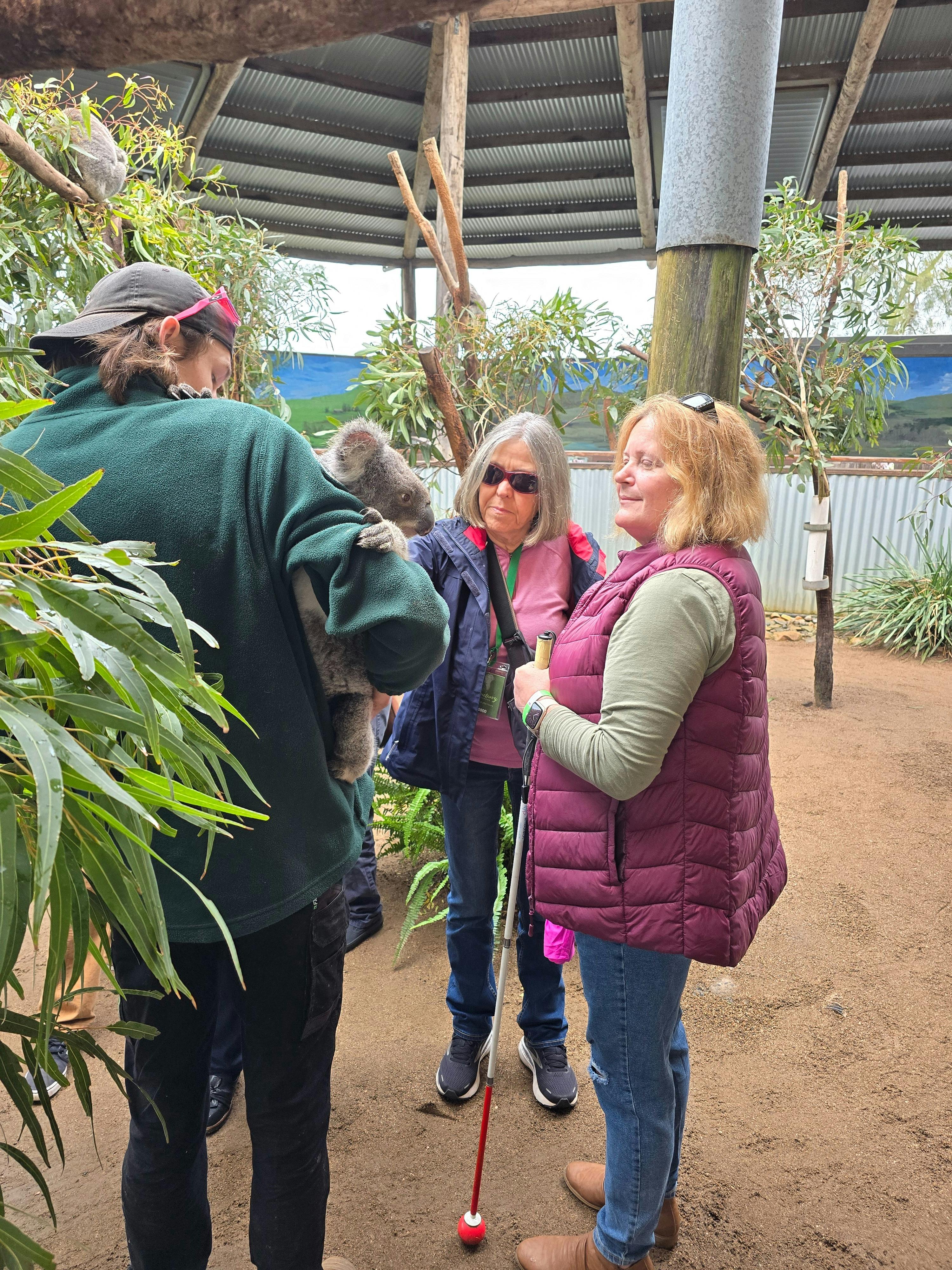 Traveller listening to a Koala talk at Oakvale Wildlife Park