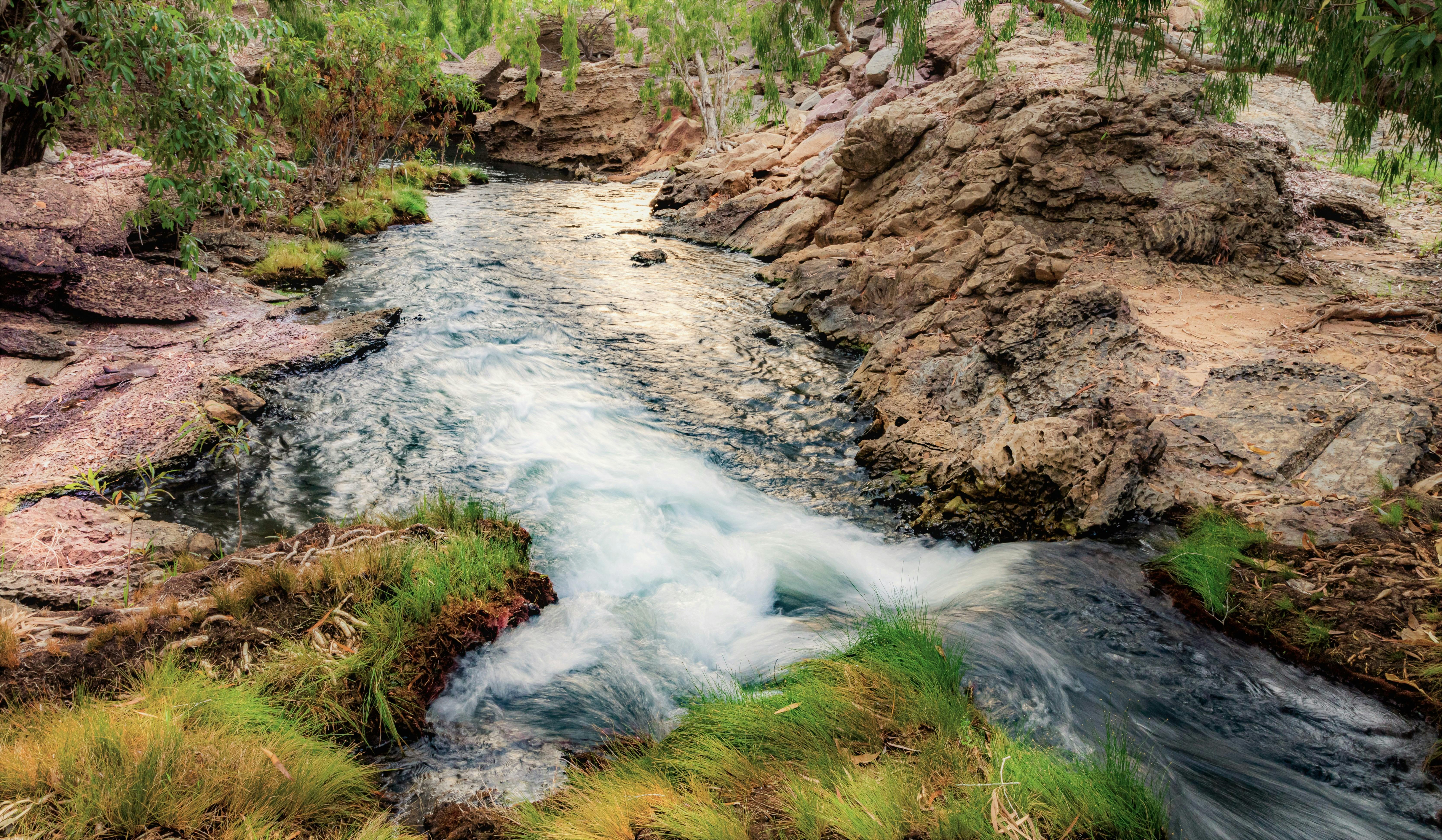 Douglas Daly Holiday Park
