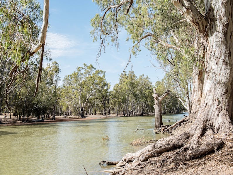 Image of the event 'Moulamein FNC Fishing Competition'