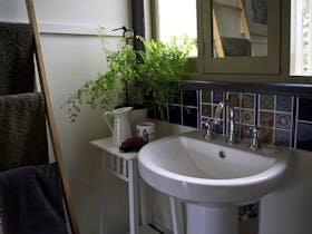 corner of the bathroom showing  basin bright coloured tiles and fern in pot