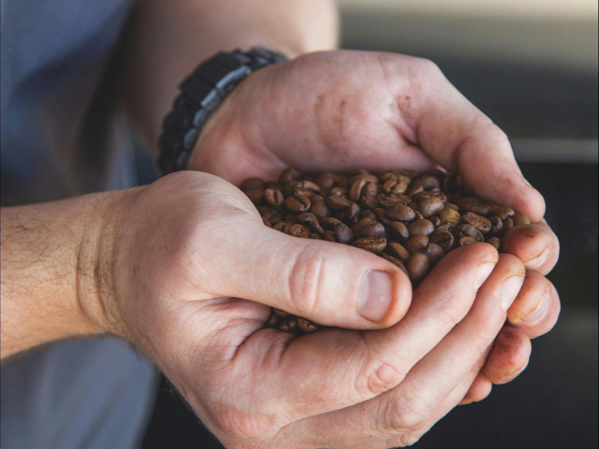 They are passionate about coffee and roast each bean to bring out the best from that region