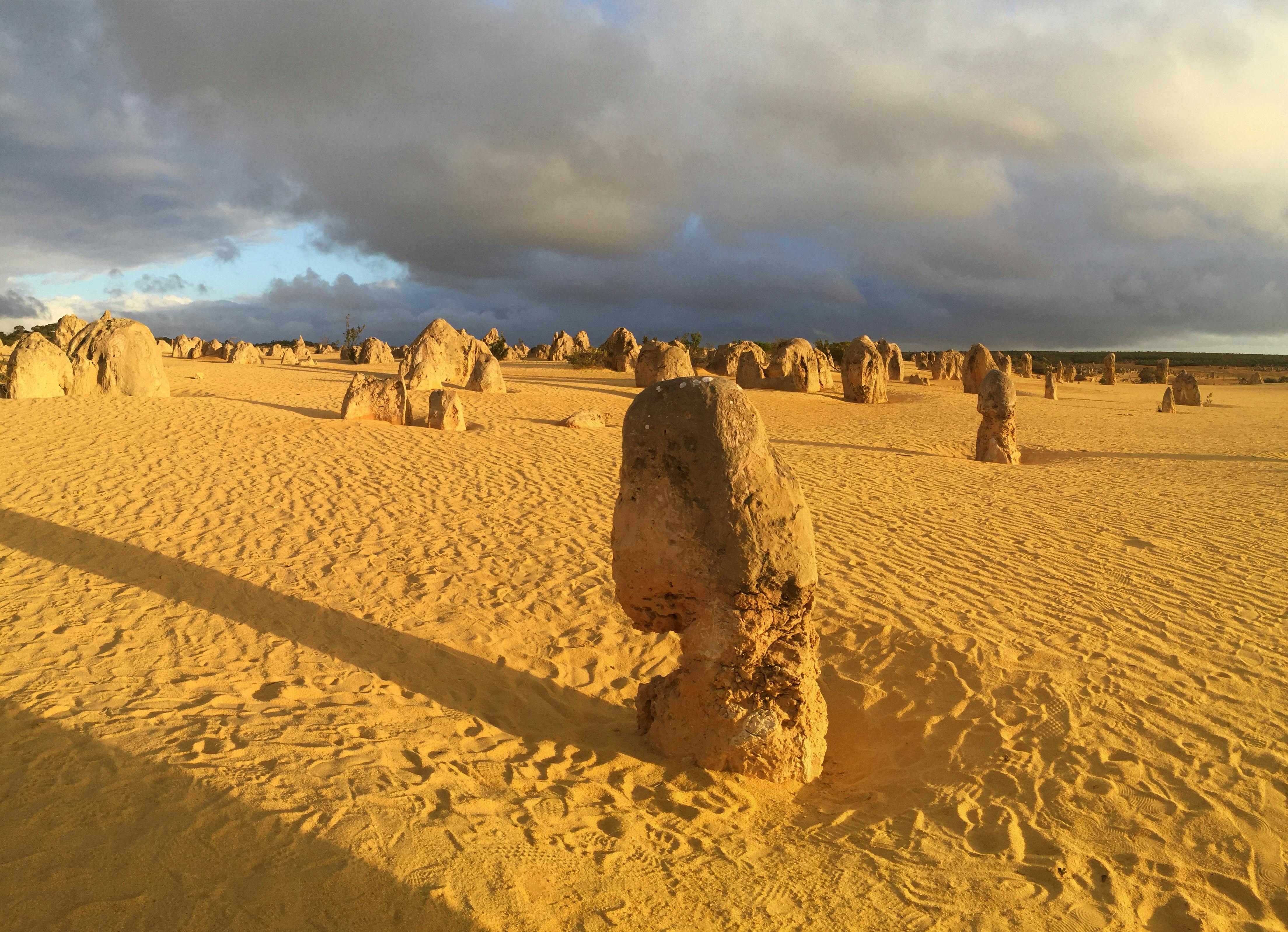 The Pinnacles Desert