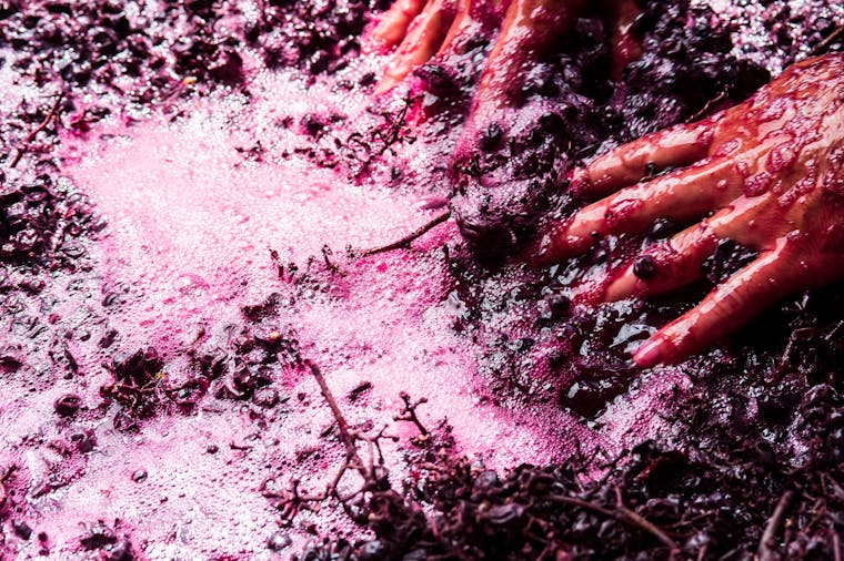 Lets Get Blended with Knappstein Wines