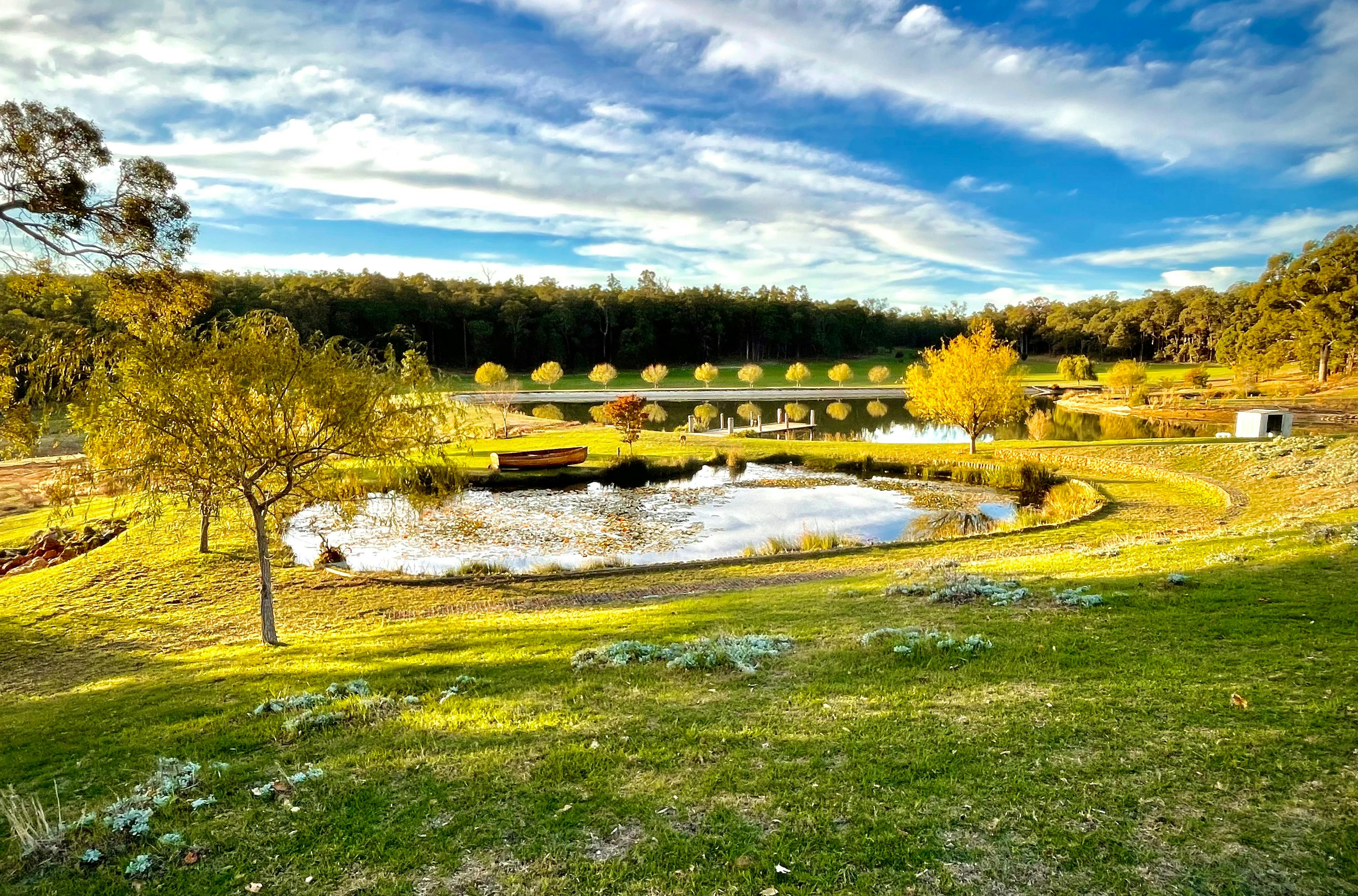 view to the dam and lily pond