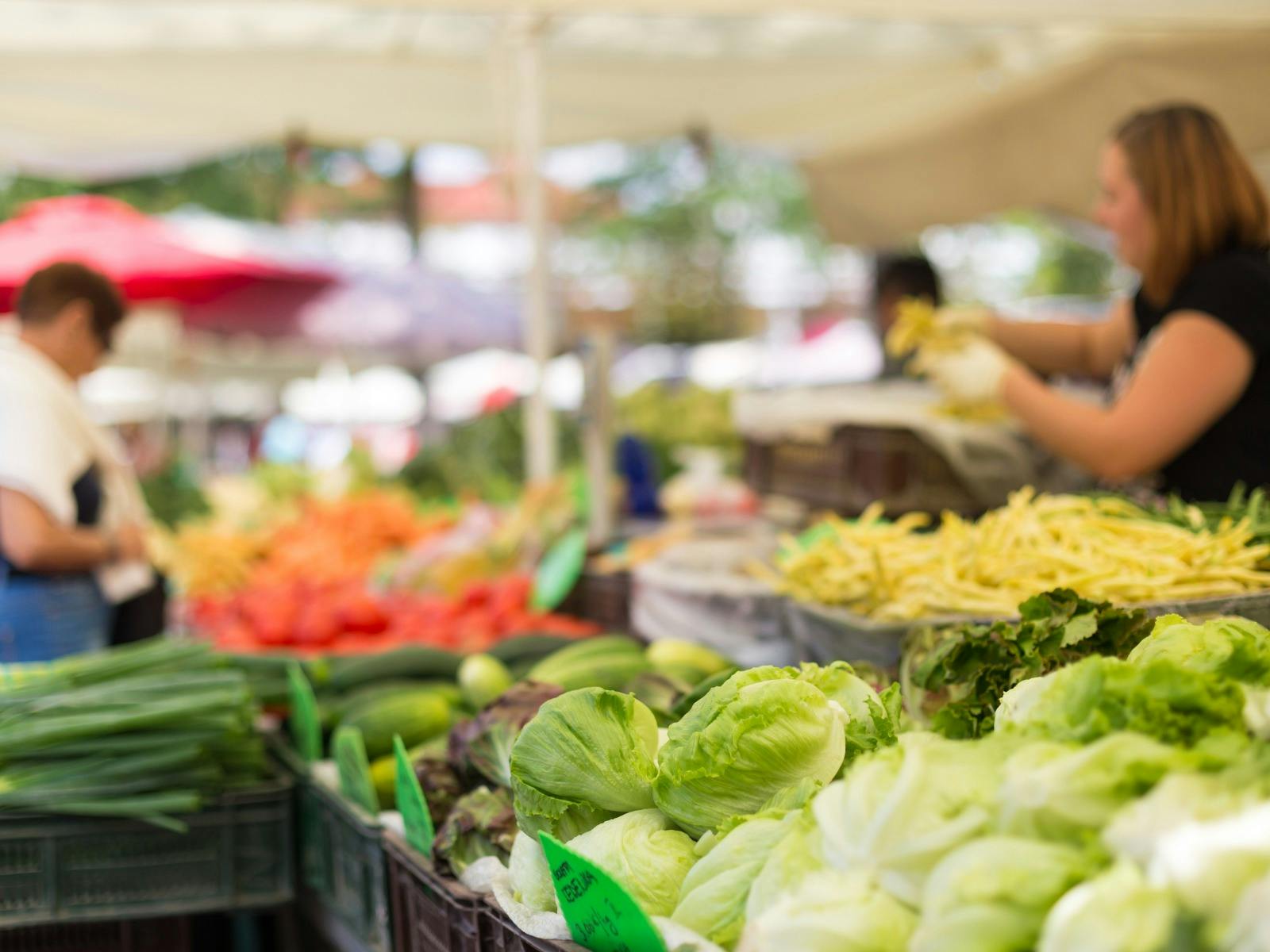 Celebrate Easter Sunday at Punt Road Wines and Yarra Valley Farmers Market