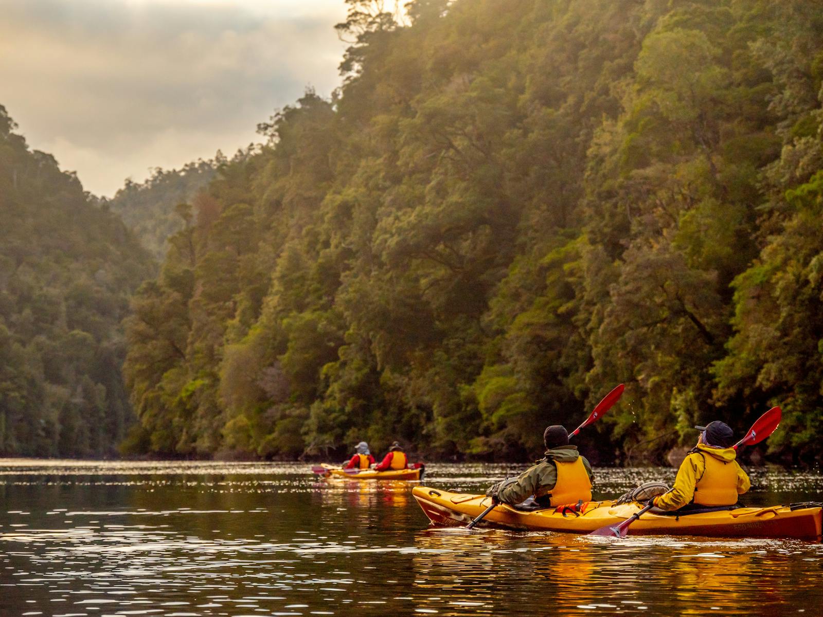 Morning Paddle