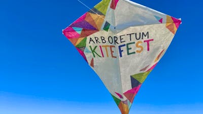 A hand decorated white kite floats in a bright blue sky with the words 'Arboretum Kitefest'