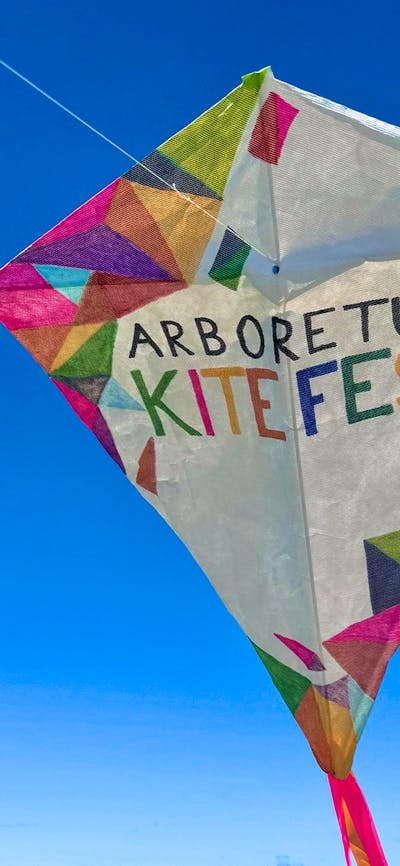 A hand decorated white kite floats in a bright blue sky with the words 'Arboretum Kitefest'