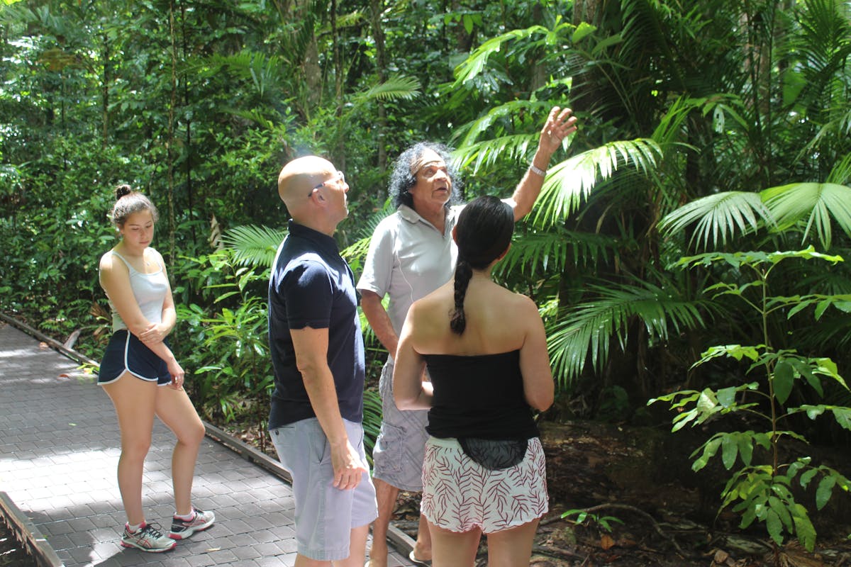 it's all about identifying... guided rainforest walk