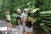 it's all about identifying... guided rainforest walk