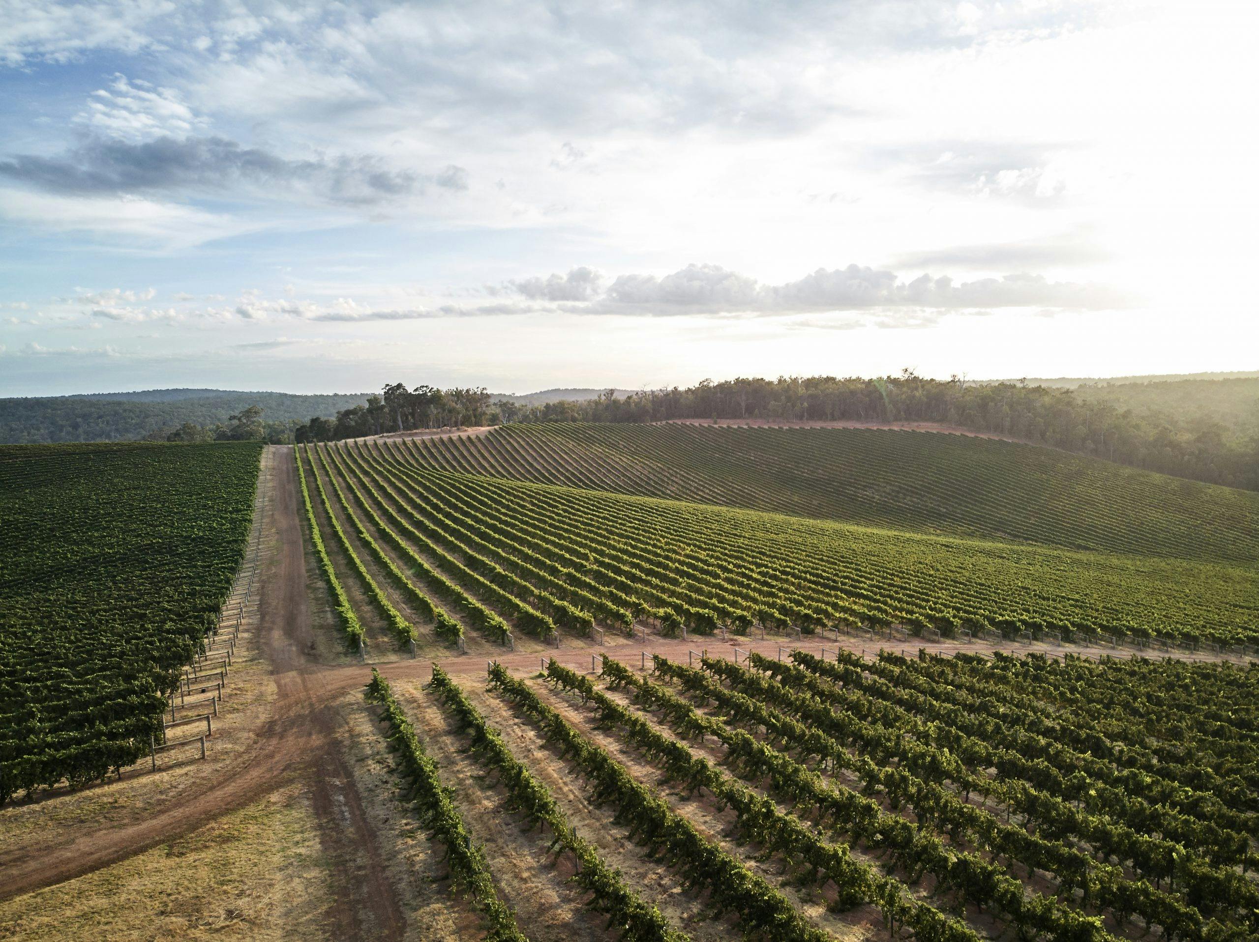 Ferguson Valley, Geographe, Western Australia