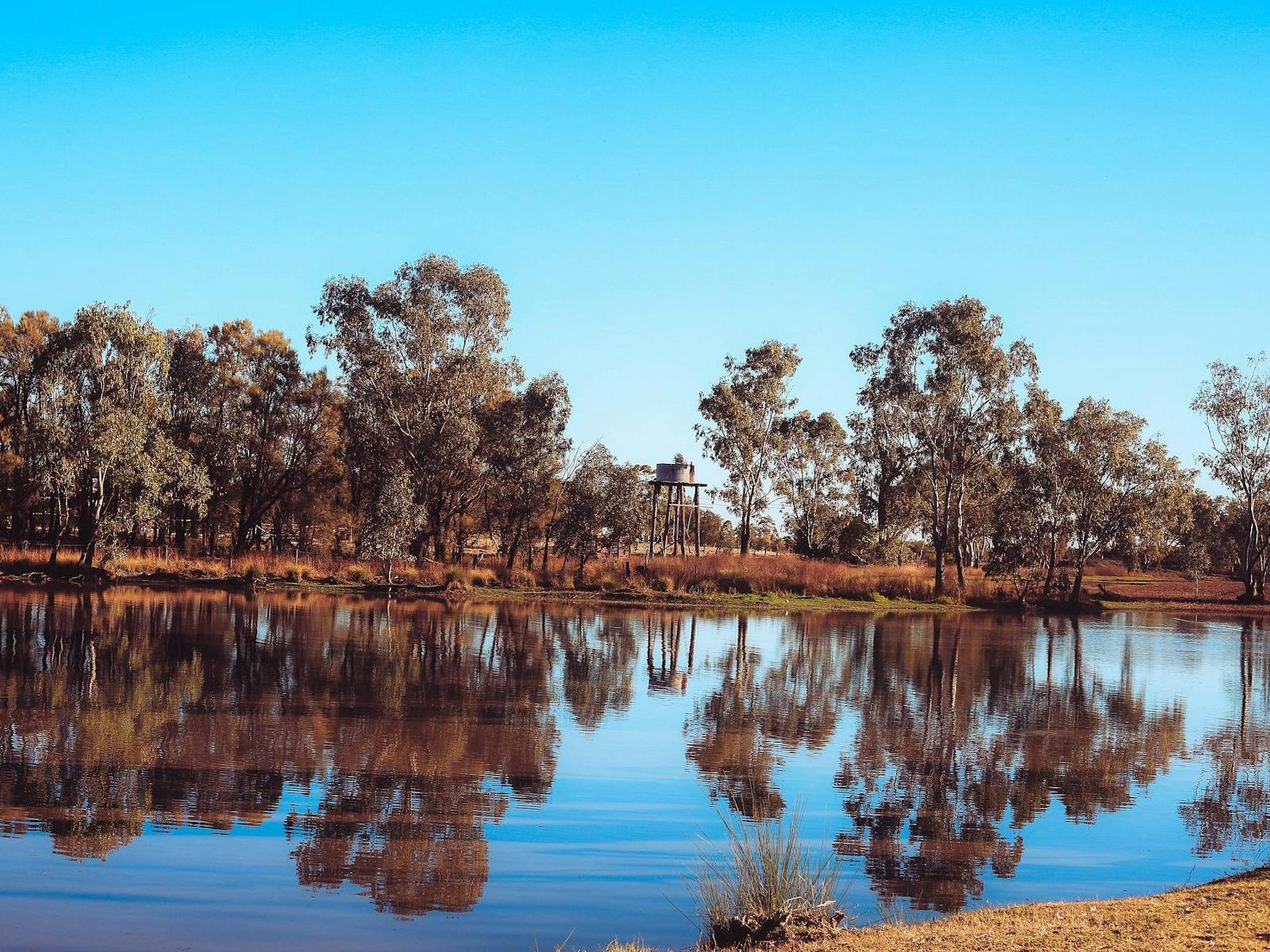 Yelarbon Lagoon Yelarbon Lagoon
