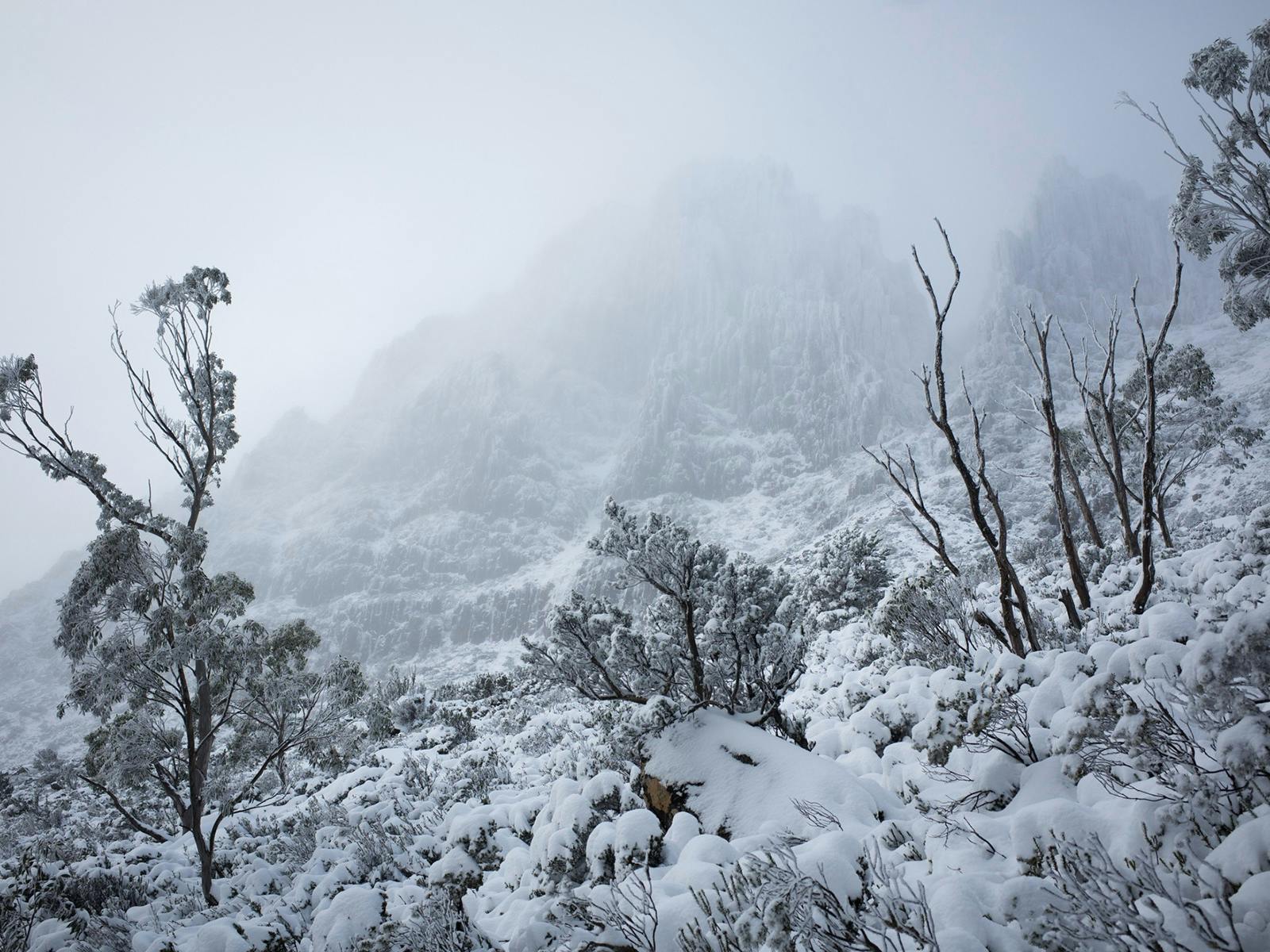 Cradle Mountain Huts Winter view