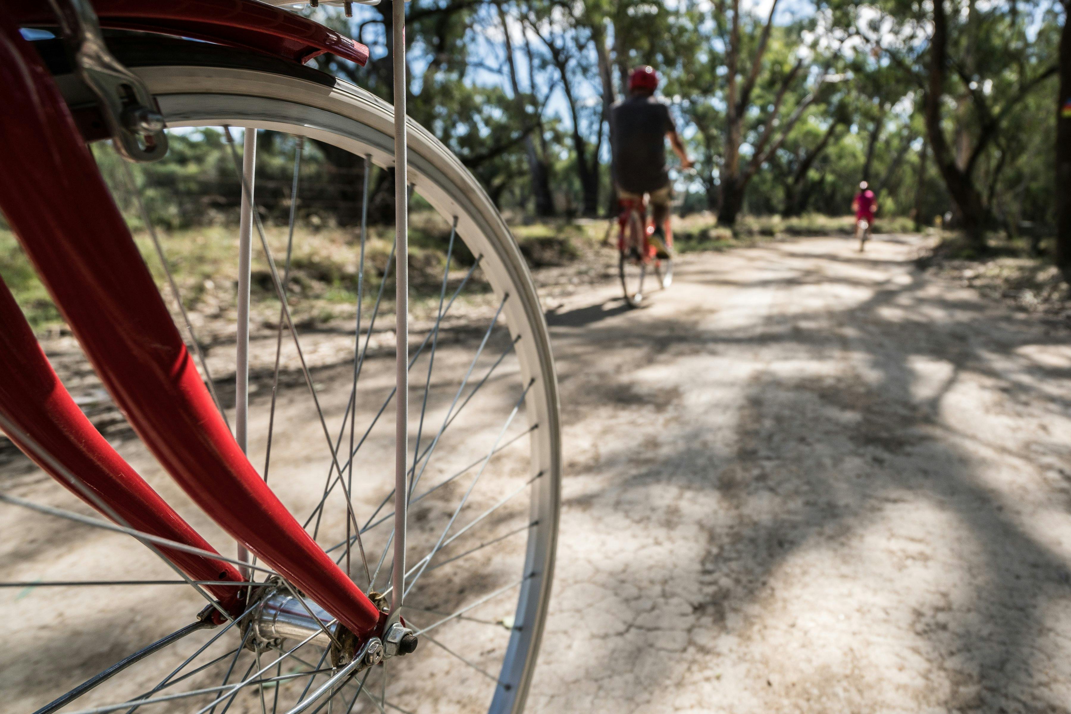 Bike hire