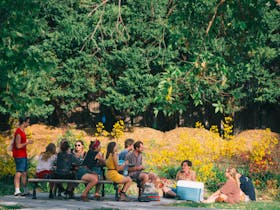 Fairgrounds Festival in the relaxed setting of beautiful Berry
