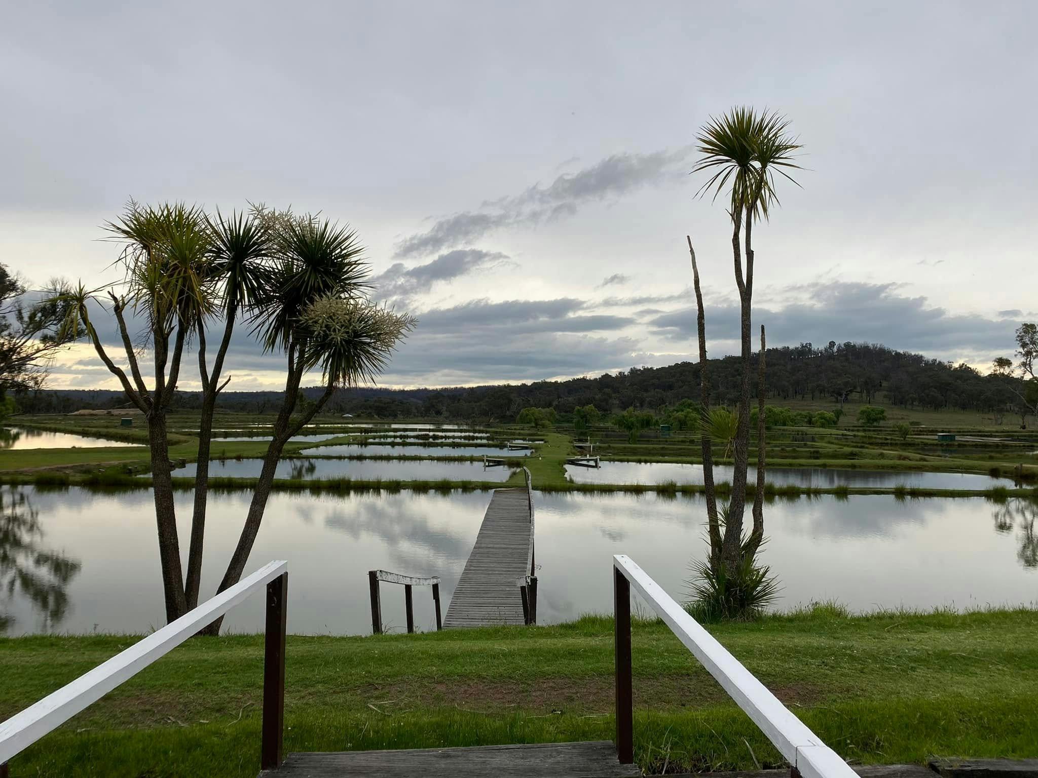 Moredun Ponds