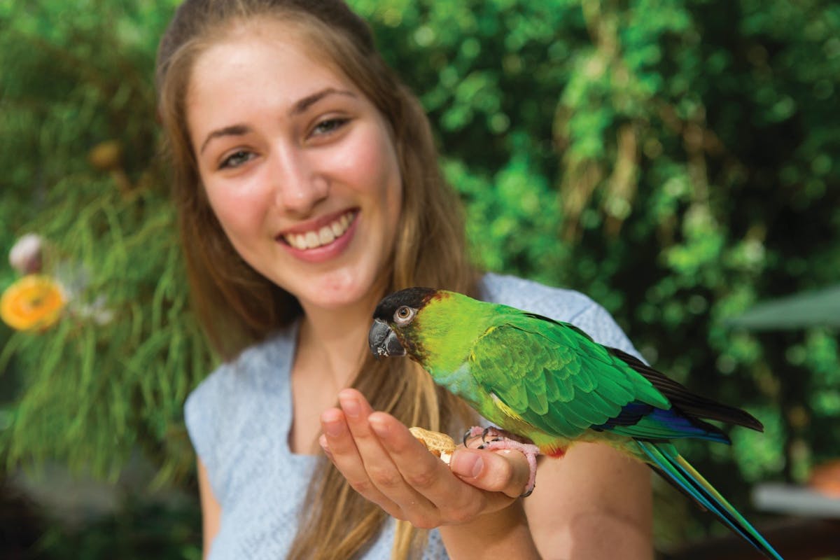 Bird feeding at Birdworld Kuranda