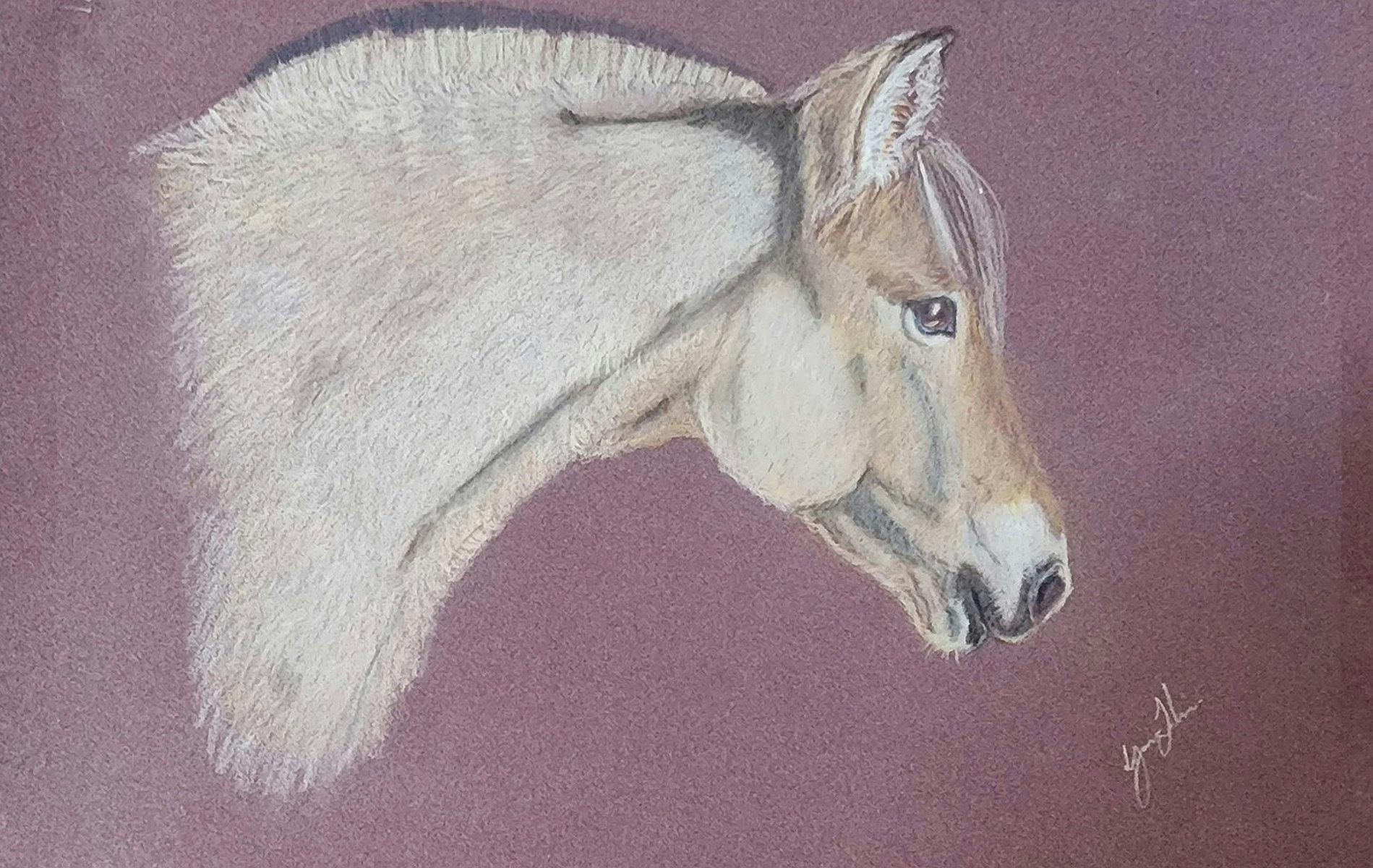Lynn Jenkin Art