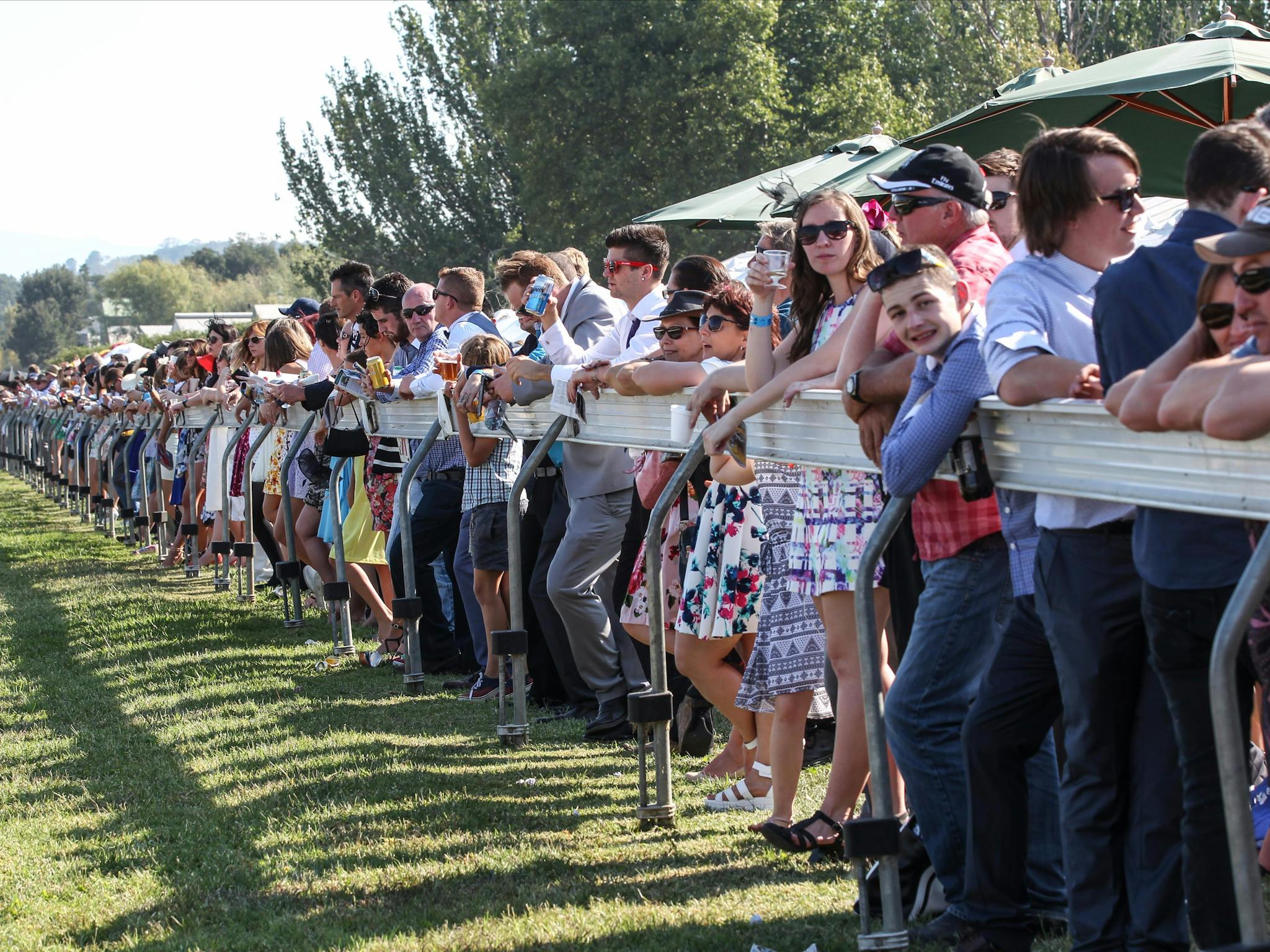 Crowd