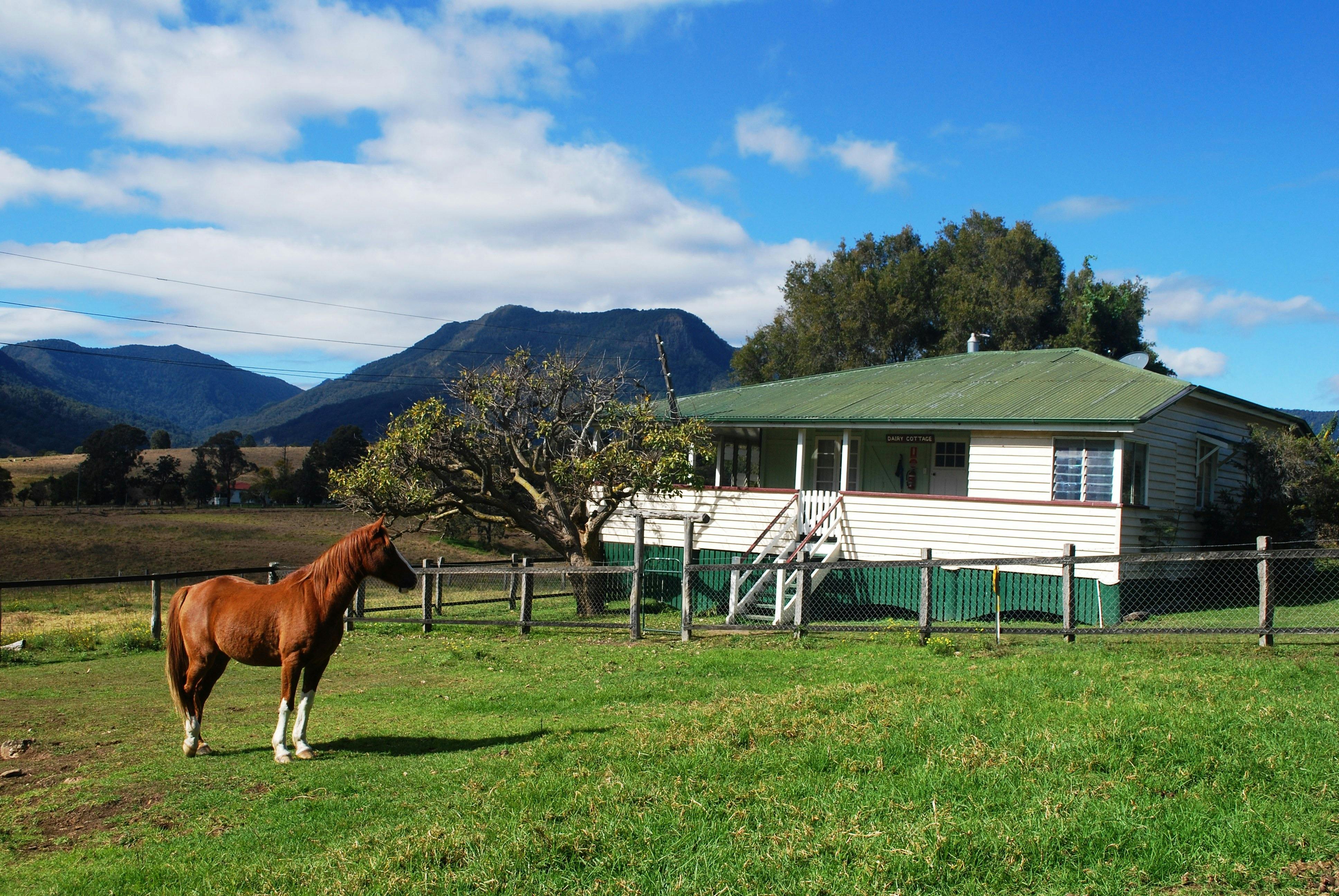 Dairy cottage - Sleeps up to 11 people, 4 bedrooms