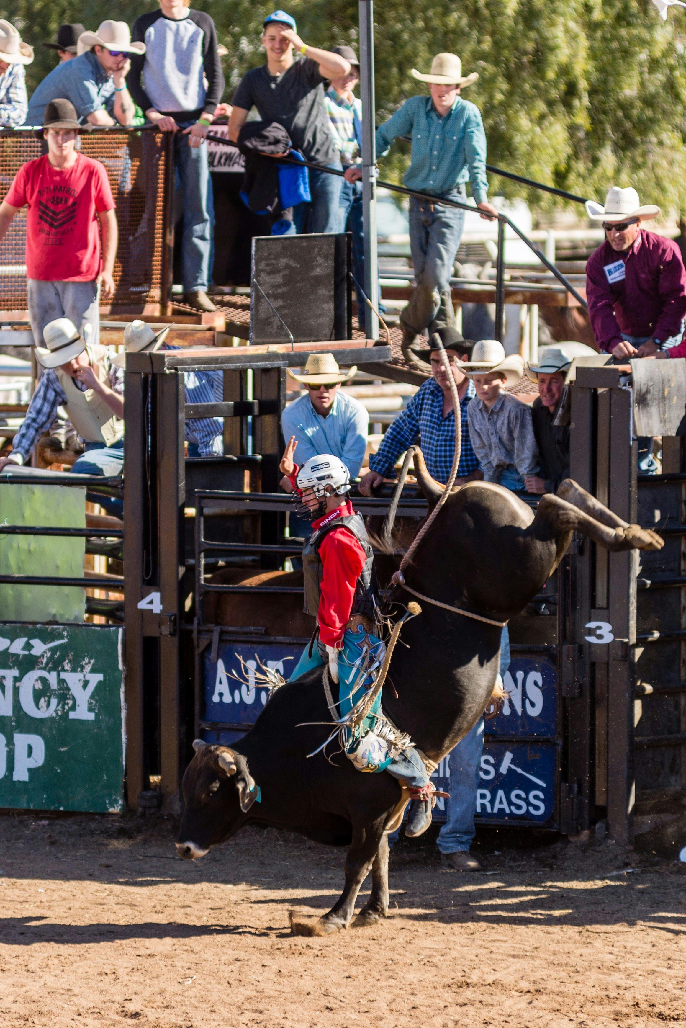 Coonamble Rodeo and Campdraft