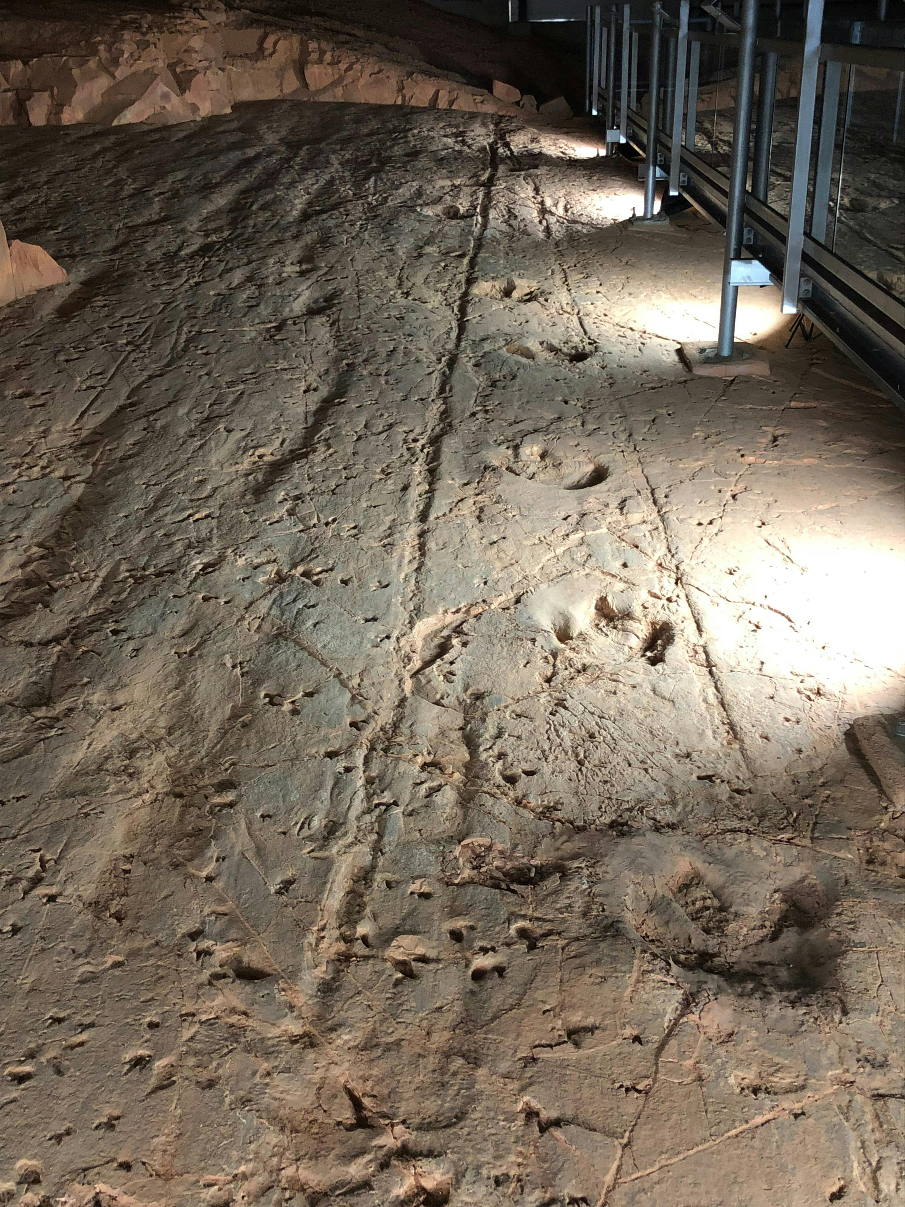 Dinosaur Stampede at Lark Quarry