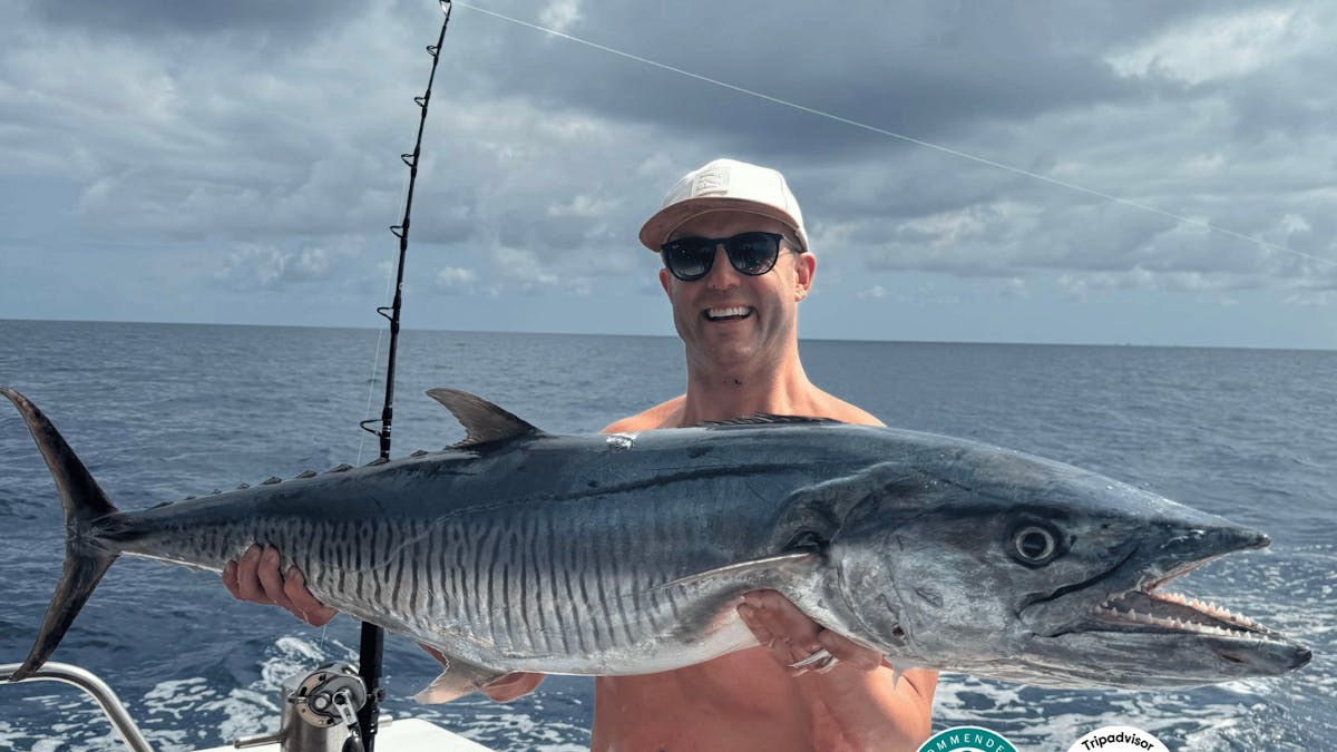 Cairns Reef Fishing Queensland