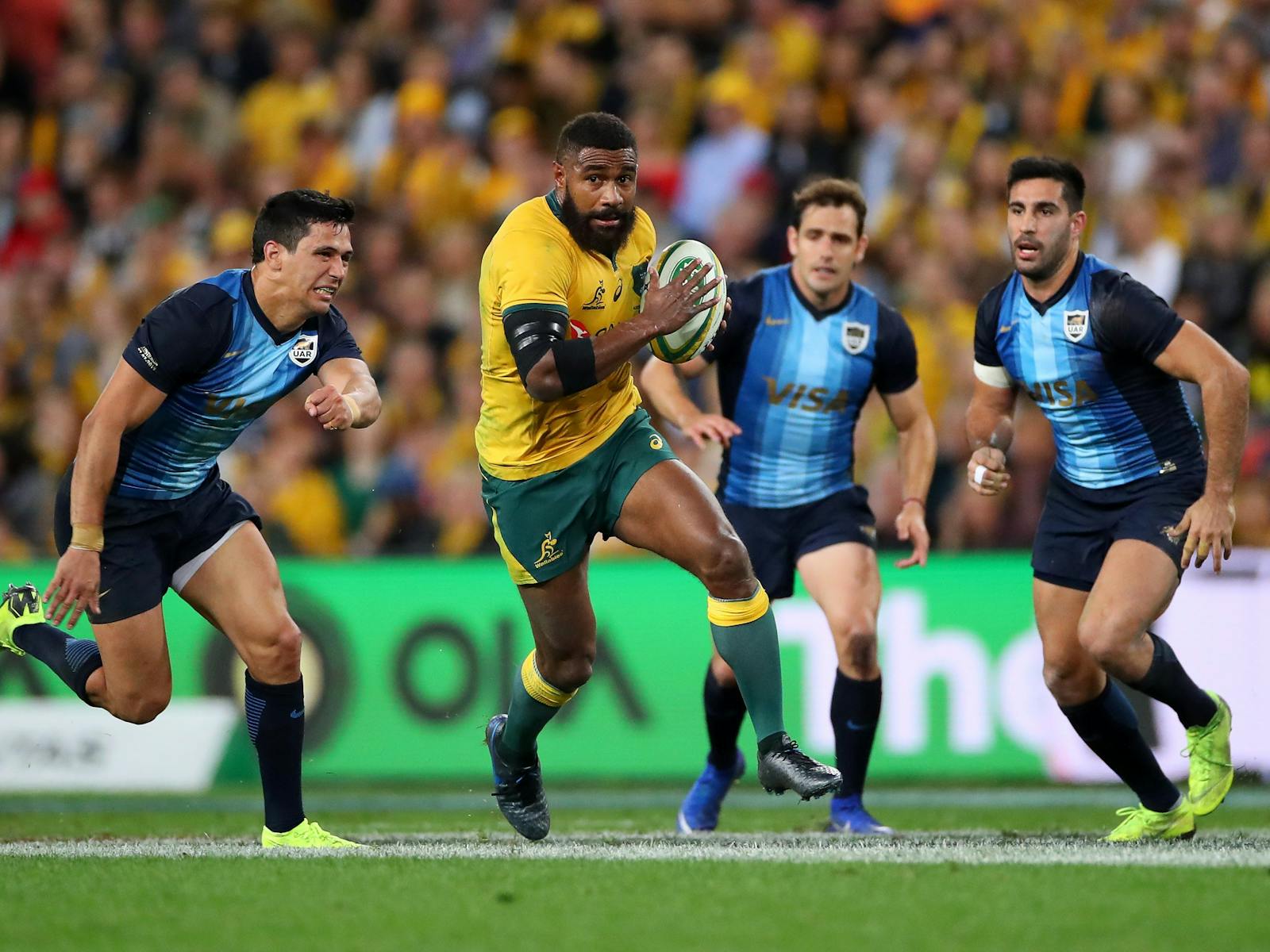 Image for Qantas Wallabies v Argentina