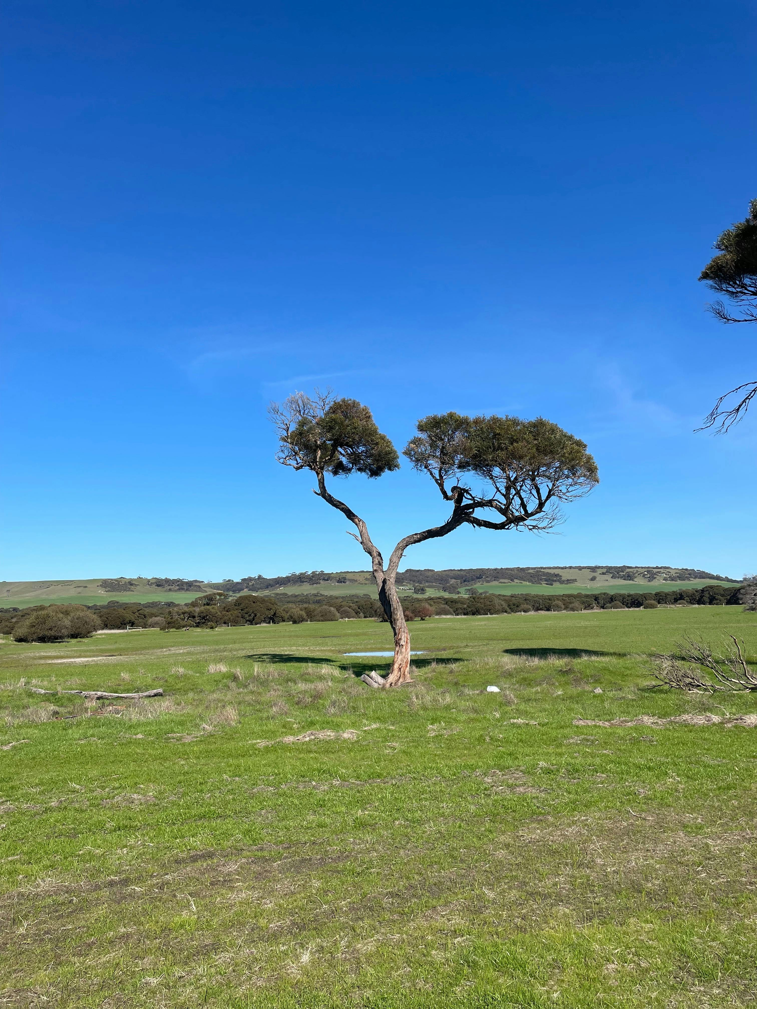 Solstice Kangaroo Island