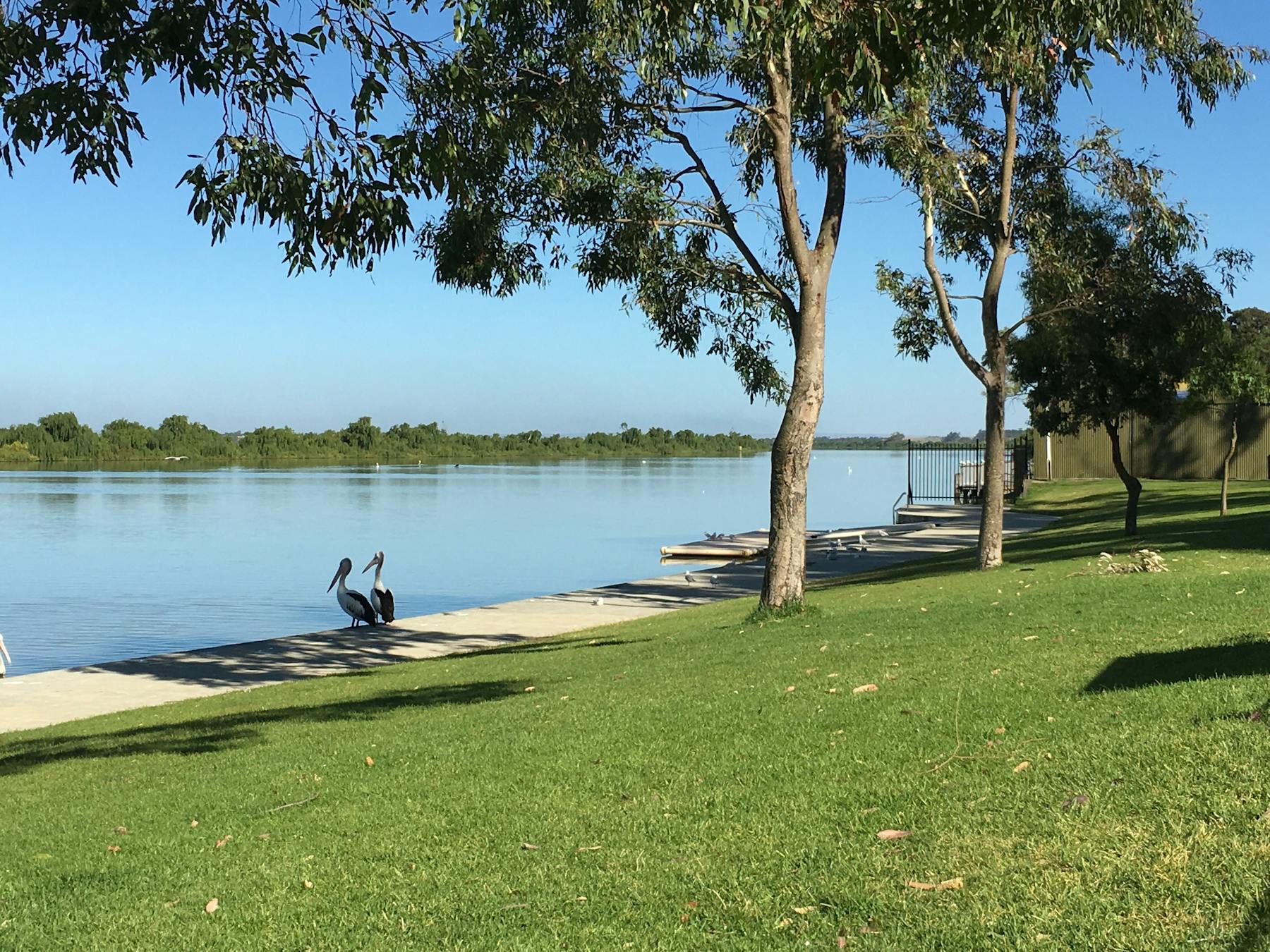 Dickson's Reserve - Start of the Lower Murray Canoe Trail
