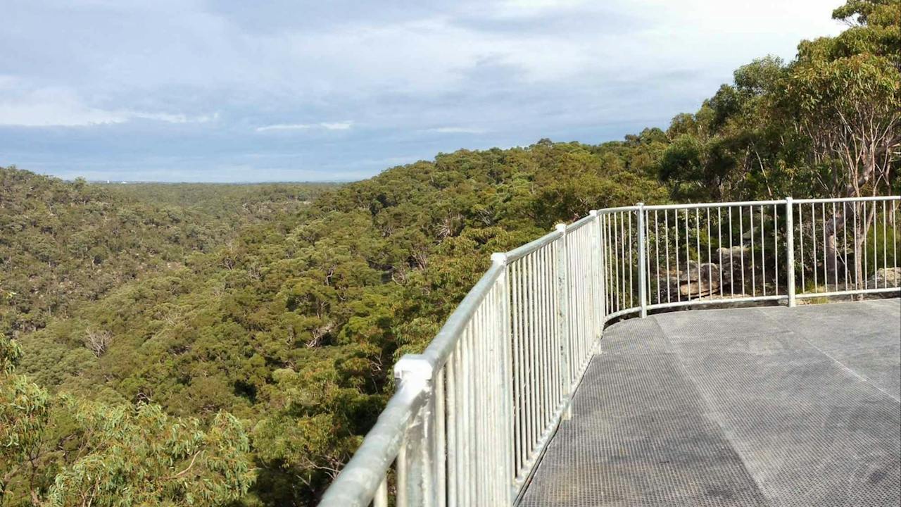 O’Hares Creek lookout walking track