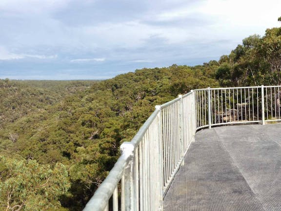 O’Hares Creek lookout walking track