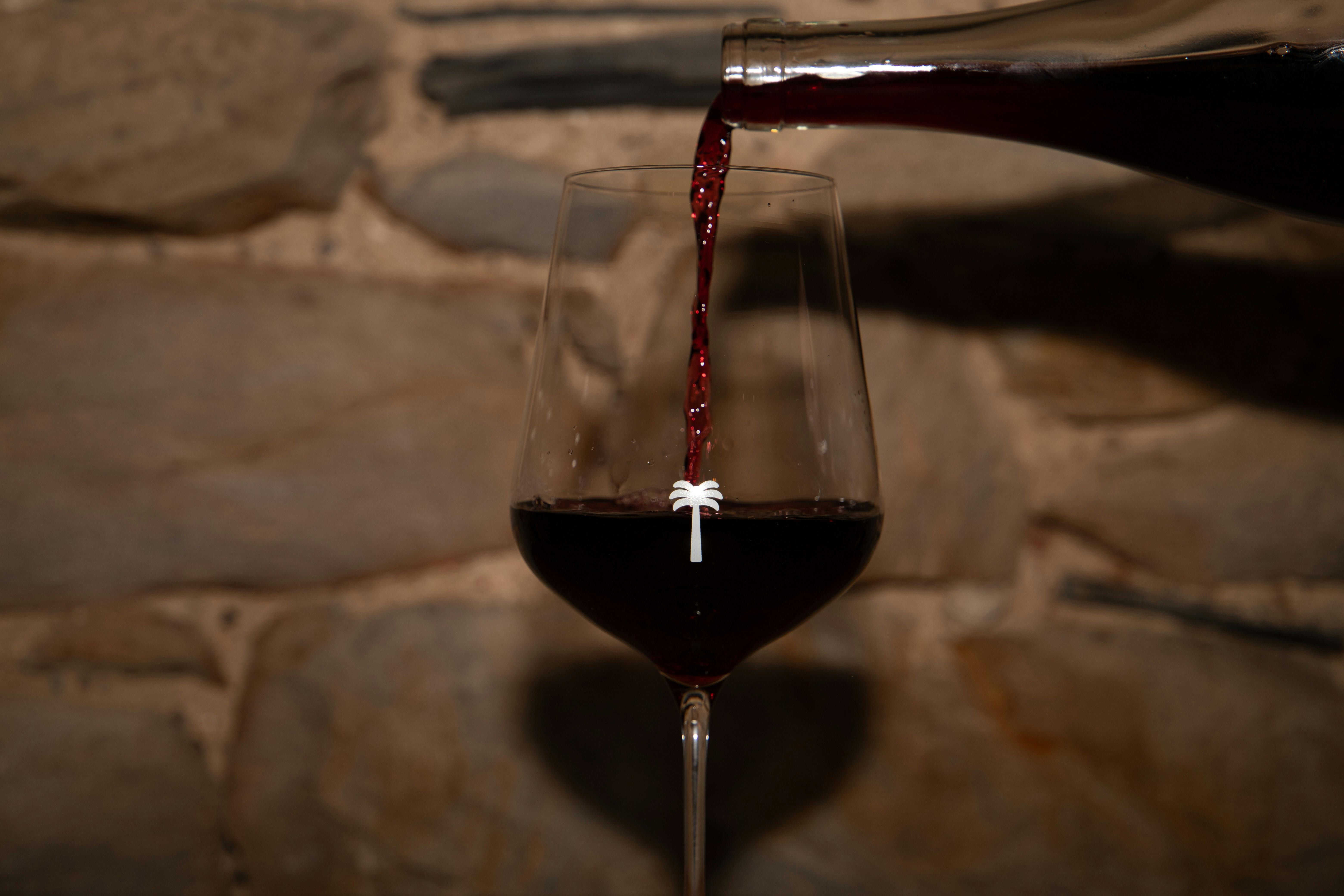 Grenache & Gourmet: Tread Lightly and Silent Noise