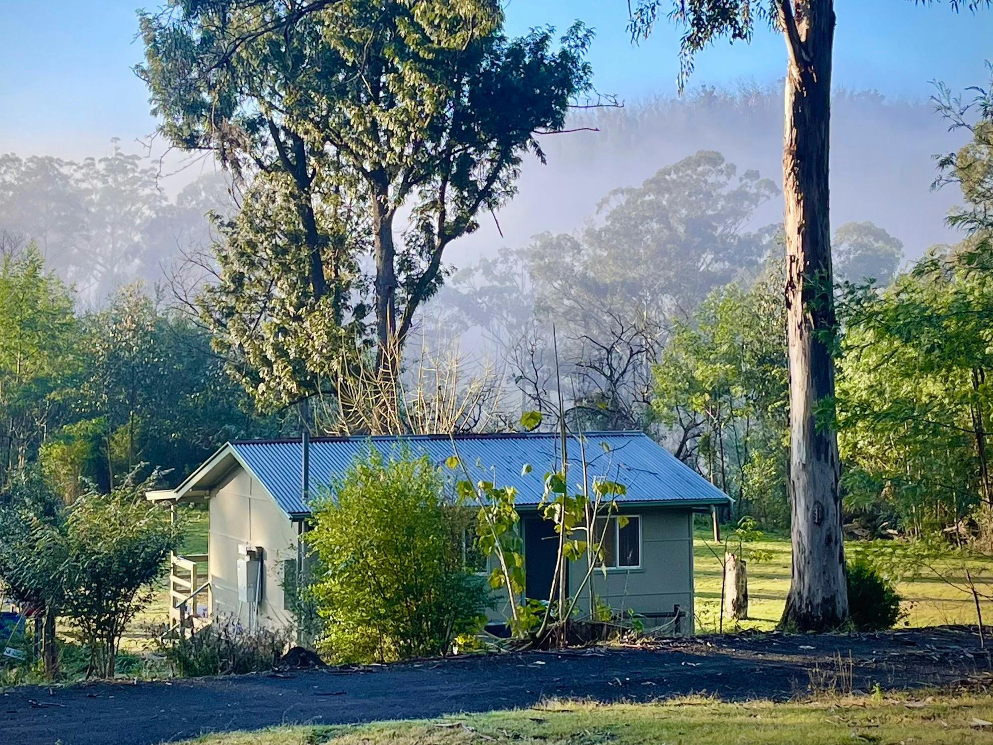 Cabins - White Cedar and Golden Wattle