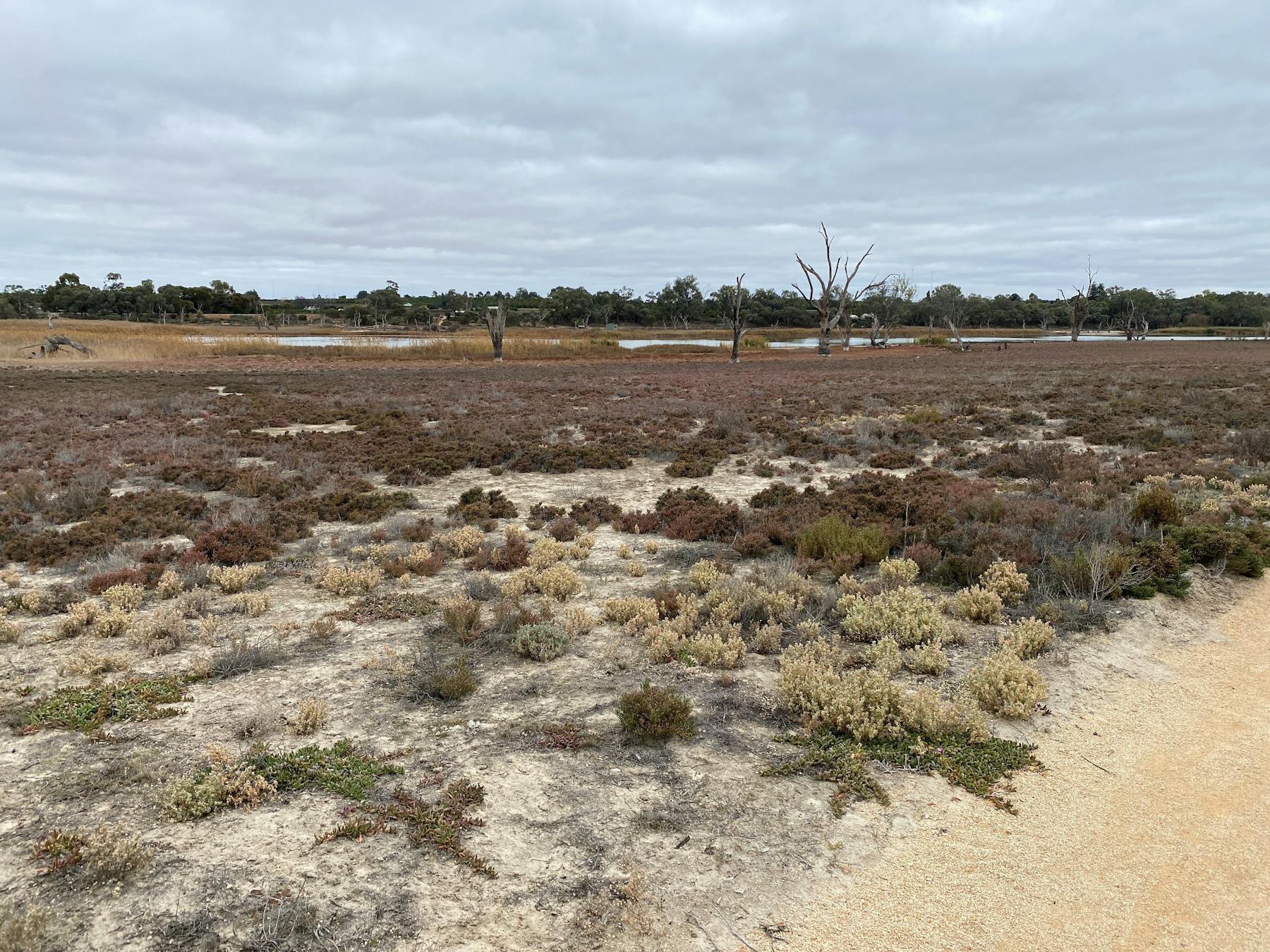 Includes part of walking trail