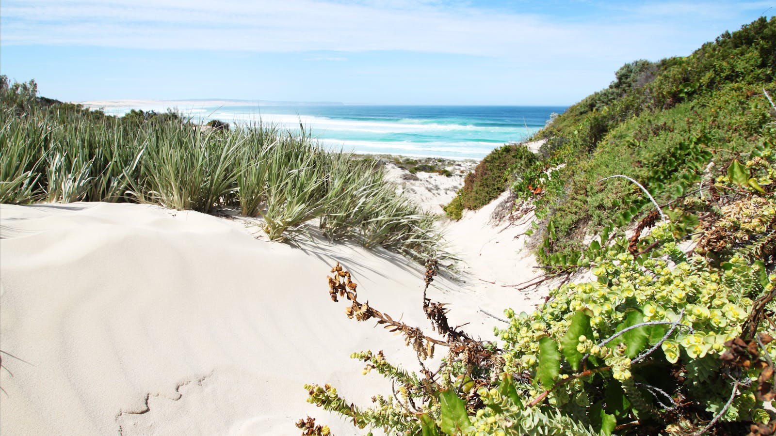 Coffin Bay National Park