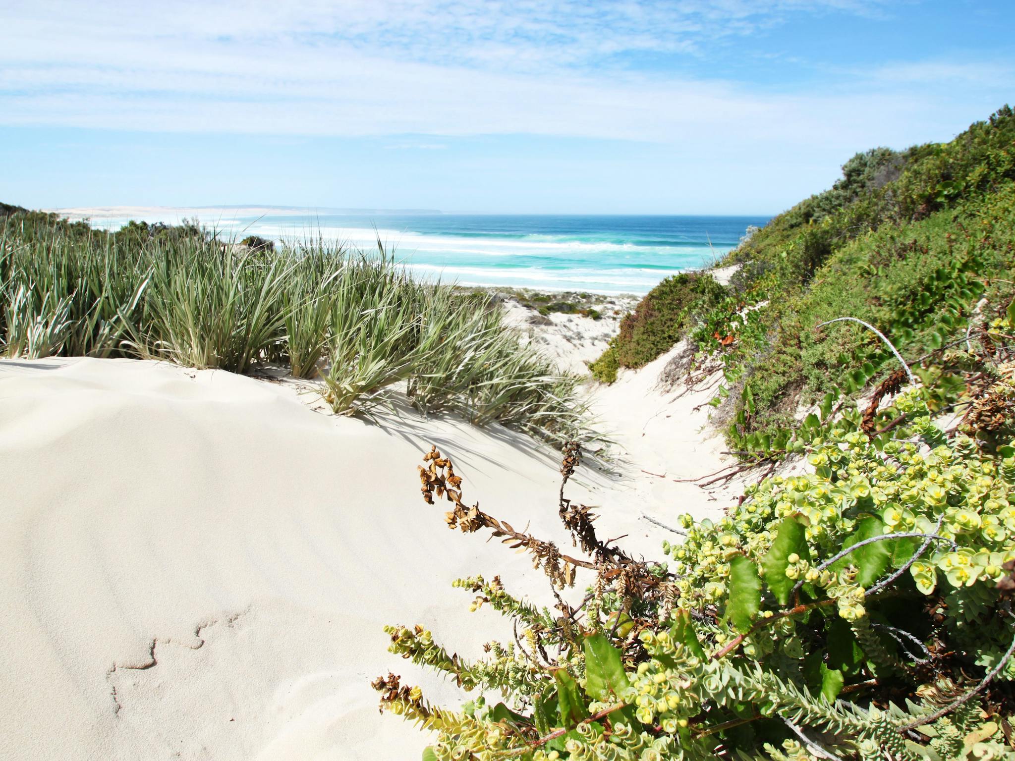 coffin-bay